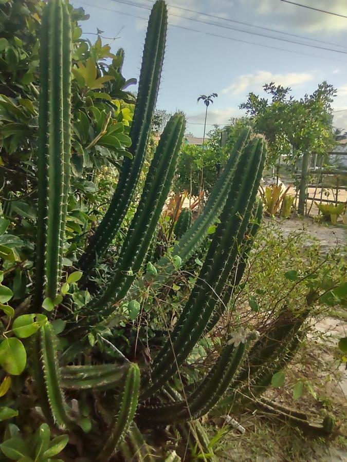 Apartamento Quintal dos Sonhos Xandó Caraíva Exterior foto