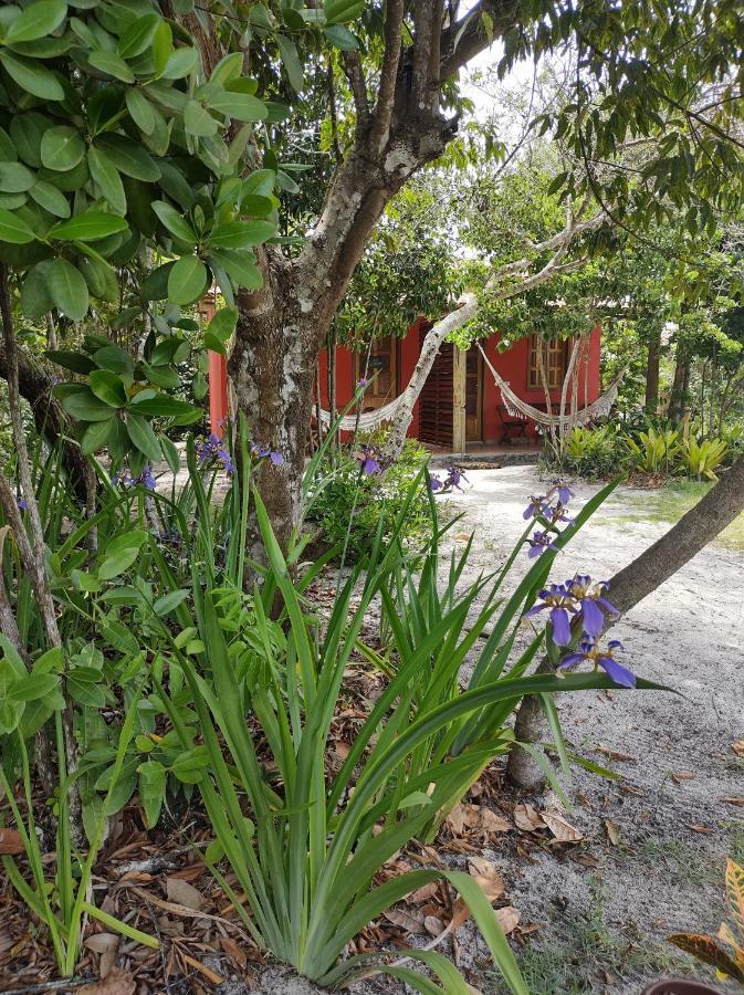 Apartamento Quintal dos Sonhos Xandó Caraíva Exterior foto