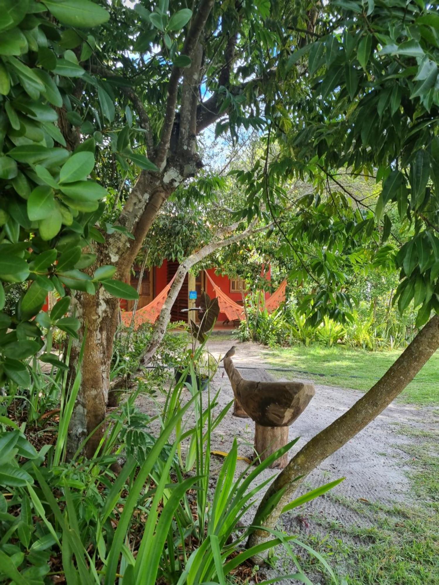 Apartamento Quintal dos Sonhos Xandó Caraíva Exterior foto